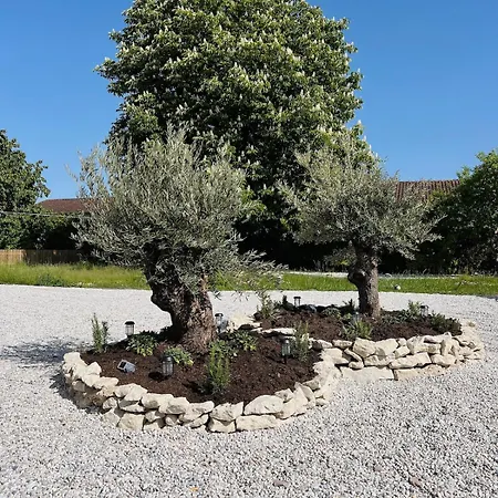 Maison Olivier - Luxurious Vacation In Dordogne بيت للعطل